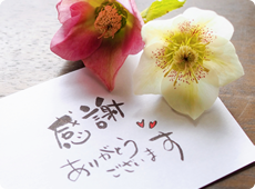 こんな方におススメ